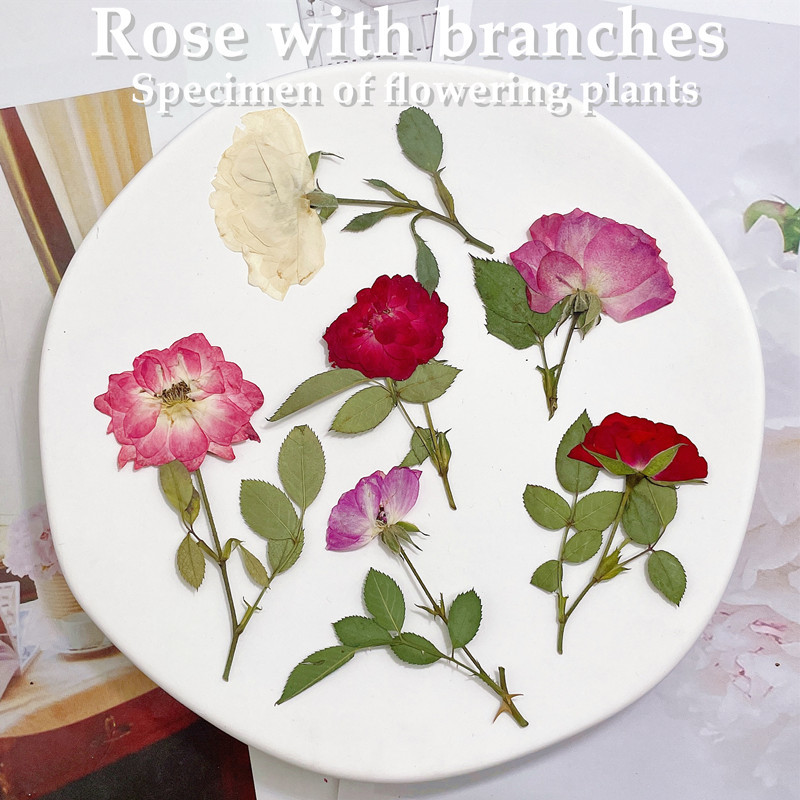 12pcs, Nature White Pink Red R - огляд і ціна Wedding Card Box