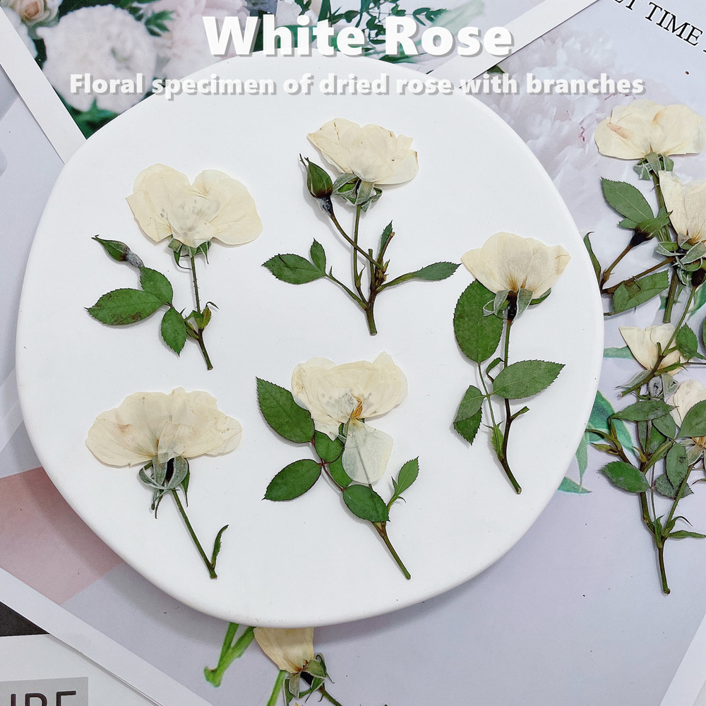 12pcs, Nature White Pink Red R - огляд і ціна Wedding Card Box